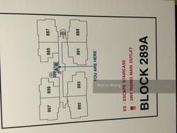 Blk 289A Punggol Place (Punggol), HDB 4 Rooms #136712972